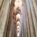 The light that glides on the nave's columns