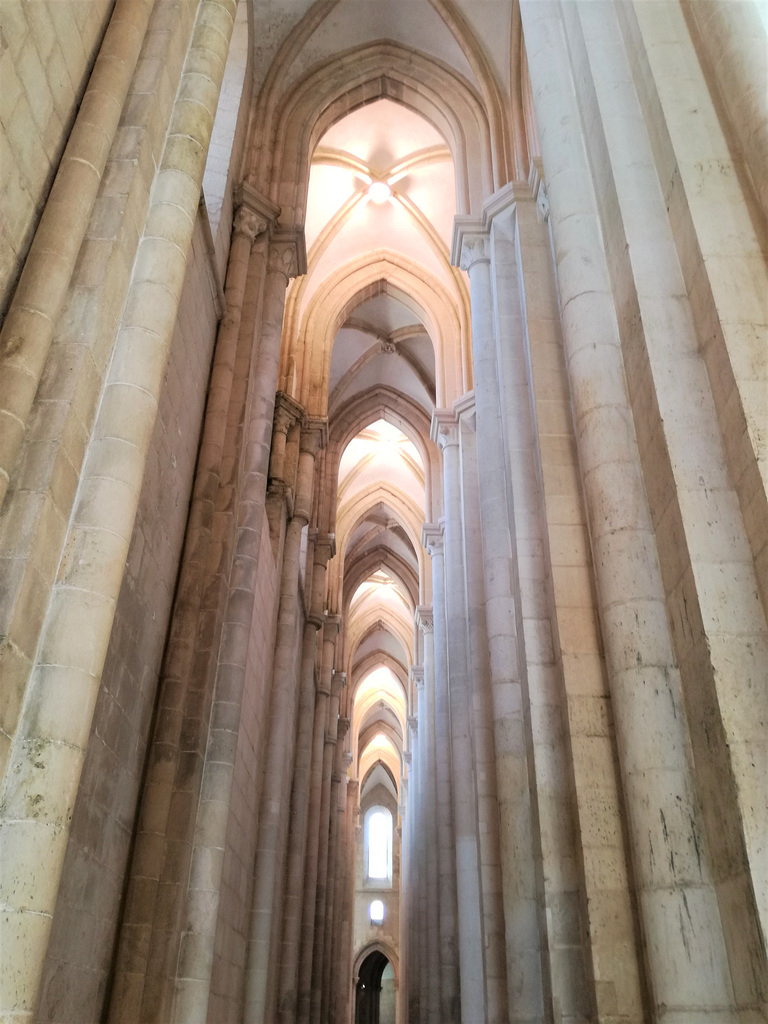 The light that glides on the nave's columns