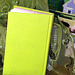 Lime Green Book Cover