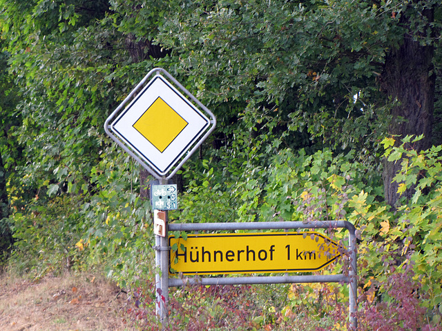 Hühnerhof