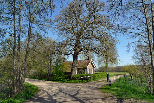 Nederland - De Wijk, Landgoed Dickninge/tolhuis