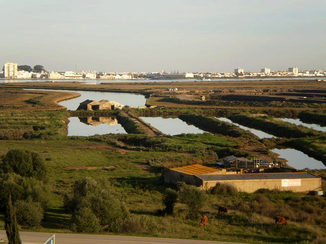 Overview to the marshlands.