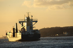 Feeder-Containerschiff   CONCORDIA
