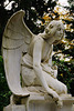 Der Todesengel - Angel of Death - L'ange de la mort