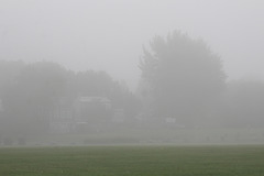 brouillard 1