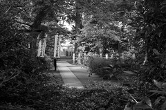 Stone path on a shrine ground