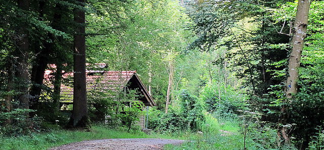 Wasterkingen Forsthütte