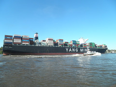 Containerriese YM Winner