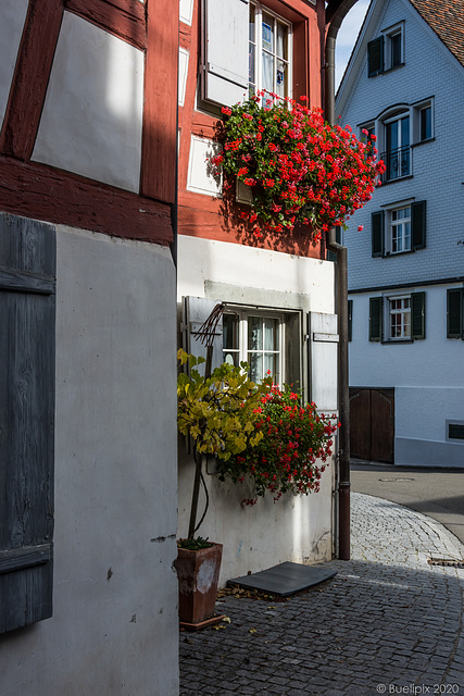 ... durch den alten Dorfteil von Ermatingen ... (© Buelipix)