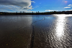 Low Tide on the River Tyne,Newcastle