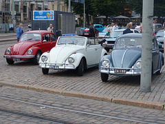Beetles around Helsinki (10) - 5 August 2016