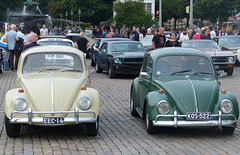 Beetles around Helsinki (11) - 5 August 2016