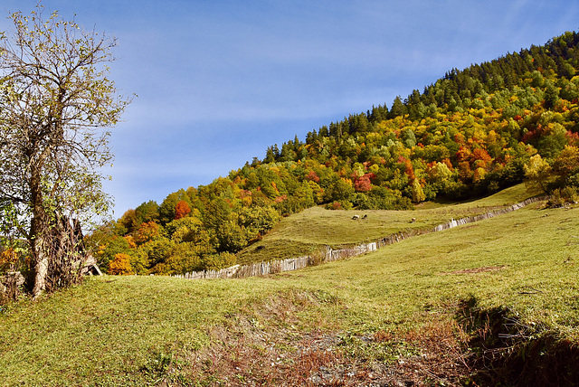 HFF. Autumn in the Caucasus