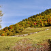 HFF. Autumn in the Caucasus