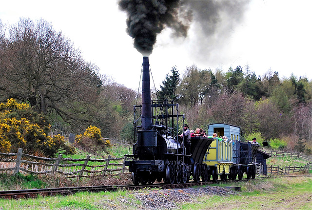 Steam Elephant passing a very old looking fence!