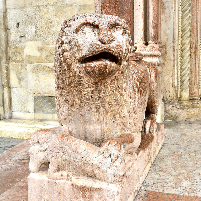 Modena 2021 – Duomo – Lion of the Porta Regia