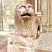 Modena 2021 – Duomo – Lion of the Porta Regia