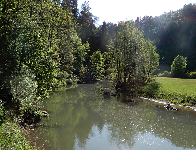 Die Wisent in Franken Die Wisent in Franken