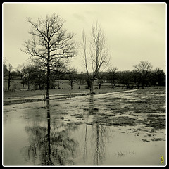 Flooded Meadow, La Gardette, 23800 Fr.