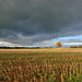 Angry clouds over Gnosall