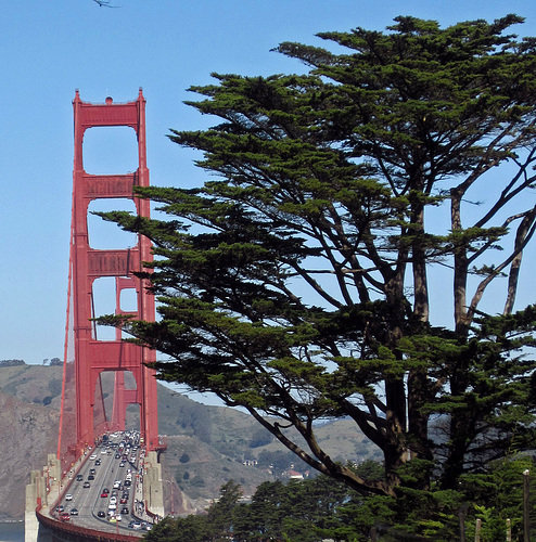 Golden Gate Bridge (3053)