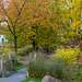 #35 (296/365) Herbst im Hutholz
