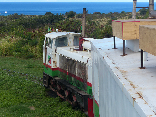 St. Kitts Scenic Railway (21) - 12 March 2019