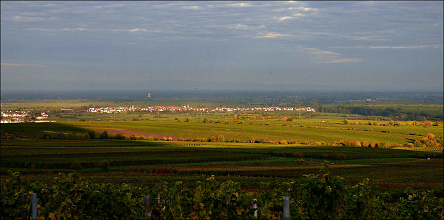 Weinregion