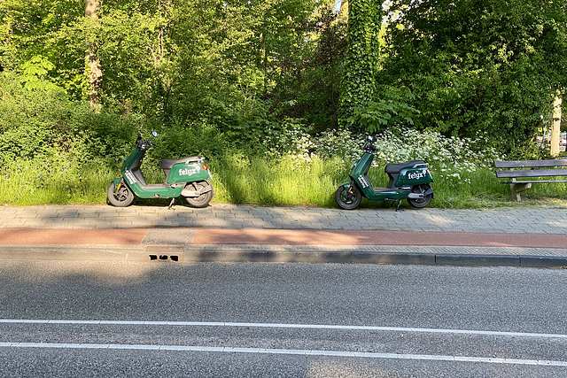 Rental scooters
