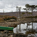 A Loch Assynt view