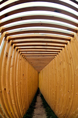 Holzkonstruktion am Bruchtorwall in Braunschweig