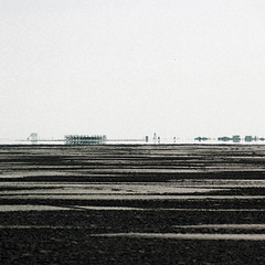 Holz am Horizont, Ording (1999)
