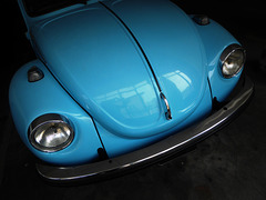 Käfer Blau