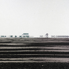 Holz am Horizont, Ording (1999)