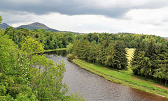 Scotland St. Cuthbert's Way/ River Tweed (PiP)