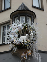 Bonn- Christmas Decoration