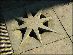 star-shaped drain cover