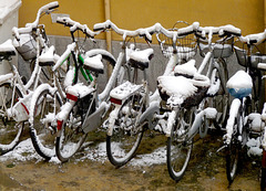 Cold bikes