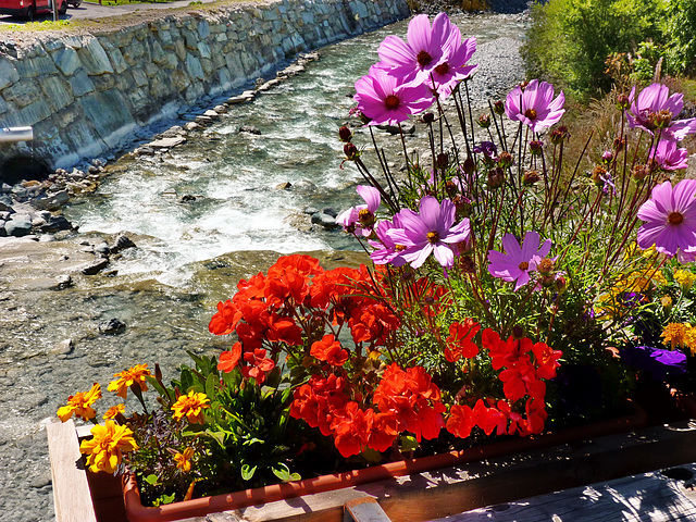 Bousson : i fiori sul fiume -