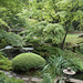 Japanese Garden Tatton Park