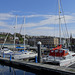 Boats In Rothesay Harbour