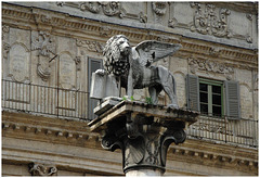 Lion de Venise !