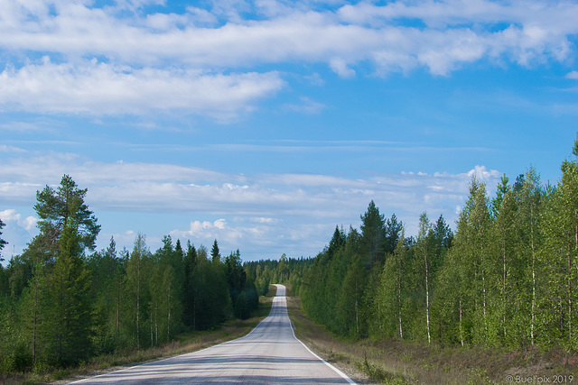 400 km nur Wald und Strasse ... unterwegs in der Region von Suomussalmi (© Buelipix)