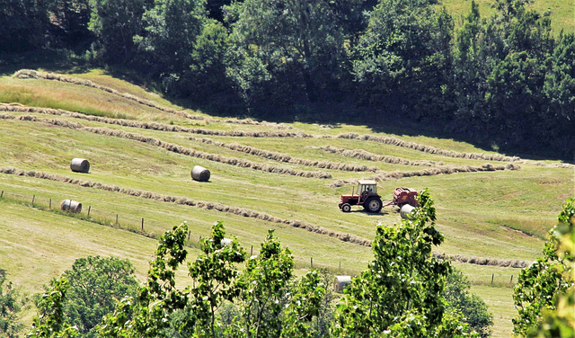 Travaux ... le temps de la fenaison est arrivé... HFF