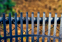 Fence with Rake