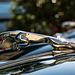 The Jaguar on the hood