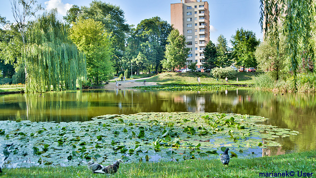 Park of Roses in Chorzow,Polen