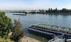 DE - Bonn - Blick auf den Rhein