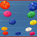 Genova : Un cielo di ombrelli colorati -