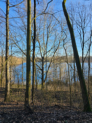 Köln Dünnwald - Höhenfelder See